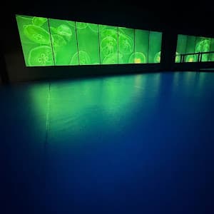 ALIVE Studios - Southlake — Additional